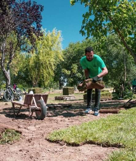 COLOCACIÓN DE CÉSPED EN PARQUE ESPAÑA