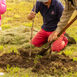Plottier tendrá un microbosque en el Jardín Botánico
