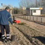 Plan estratégico Forestal en Plottier: por una ciudad más verde y sostenible