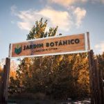 Plottier: destacan la riqueza de la flora neuquina y alertan por especies en riesgo