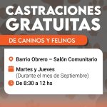 Continúa el plan de castración de mascotas en Plottier