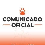 Hechos de crueldad animal en Plottier: Comunicado oficial de la Municipalidad
