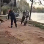 La Municipalidad de Plottier realiza obras en el Camping Nepen Hue