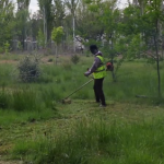 La Municipalidad de Plottier continúa con el plan integral de limpieza