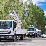 Plottier: El municipio y la Cooperativa de Luz realizan operativo de poda preventiva para estabilizar el servicio eléctrico