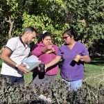 Plottier libre de dengue