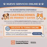 Plottier lanzó un nuevo servicio online para solicitar turnos de castración