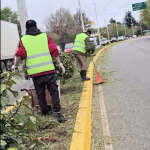 Comenzaron los trabajos de limpieza y mantenimiento en 14 kilómetros de la Ruta 22